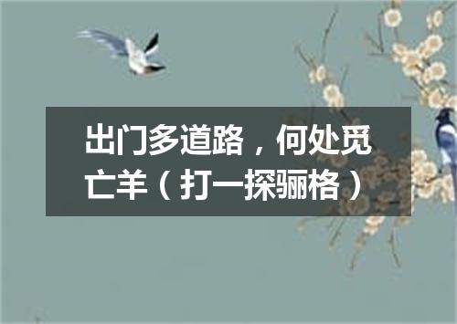 出门多道路，何处觅亡羊（打一探骊格）