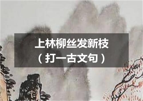 上林柳丝发新枝（打一古文句）
