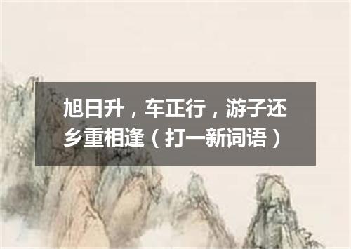 旭日升，车正行，游子还乡重相逢（打一新词语）