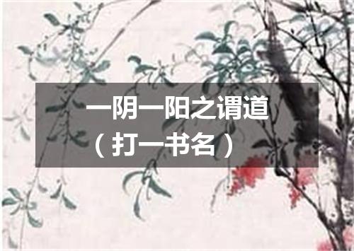 一阴一阳之谓道（打一书名）