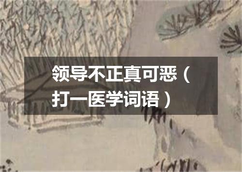 领导不正真可恶（打一医学词语）