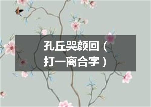 孔丘哭颜回（打一离合字）