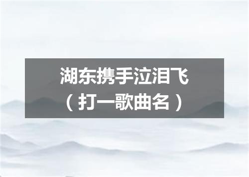 湖东携手泣泪飞（打一歌曲名）