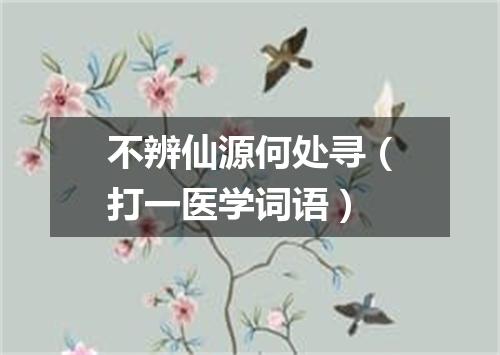 不辨仙源何处寻（打一医学词语）