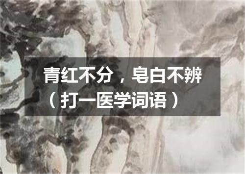 青红不分，皂白不辨（打一医学词语）