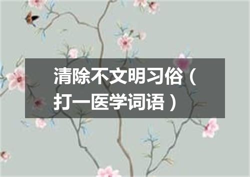 清除不文明习俗（打一医学词语）