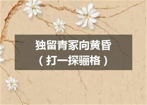 独留青冢向黄昏（打一探骊格）