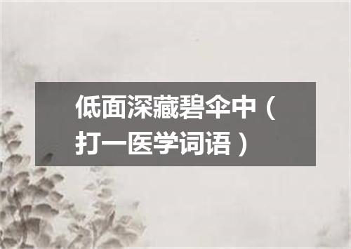 低面深藏碧伞中（打一医学词语）