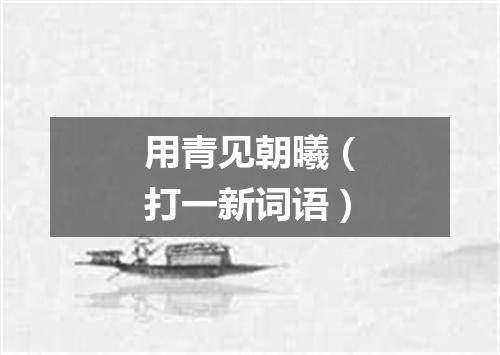 用青见朝曦（打一新词语）