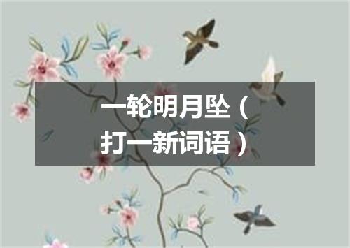 一轮明月坠（打一新词语）