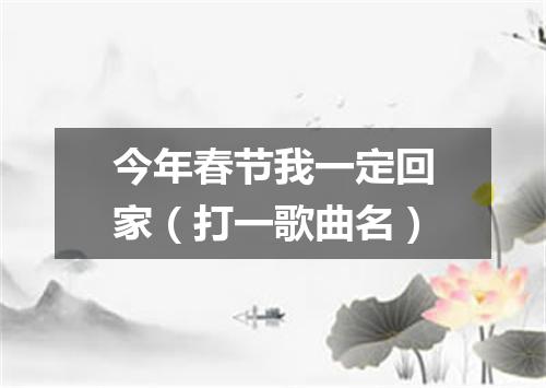 今年春节我一定回家（打一歌曲名）