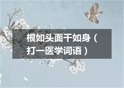 根如头面干如身（打一医学词语）