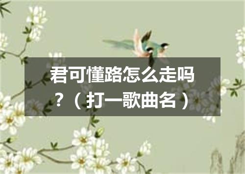 君可懂路怎么走吗？（打一歌曲名）