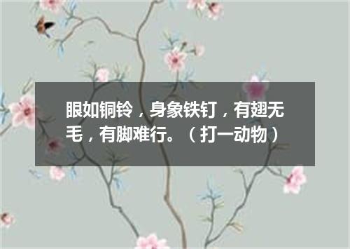眼如铜铃，身象铁钉，有翅无毛，有脚难行。（打一动物）