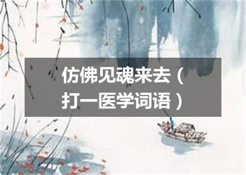 仿佛见魂来去（打一医学词语）