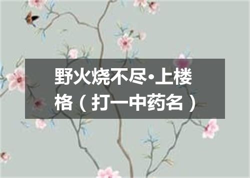 野火烧不尽·上楼格（打一中药名）