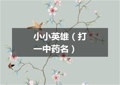 小小英雄（打一中药名）