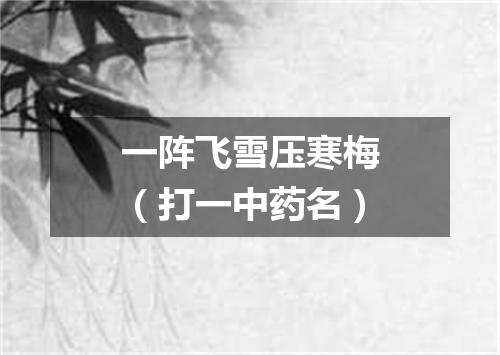 一阵飞雪压寒梅（打一中药名）