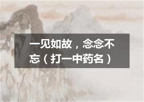 一见如故，念念不忘（打一中药名）