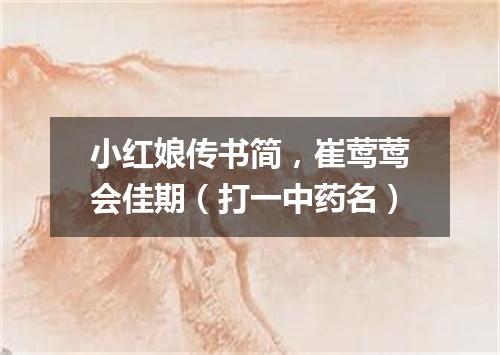 小红娘传书简，崔莺莺会佳期（打一中药名）