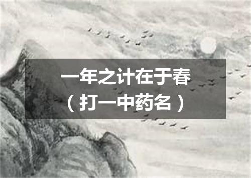 一年之计在于春（打一中药名）