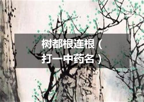 树都根连根（打一中药名）
