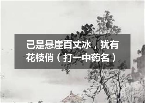 已是悬崖百丈冰，犹有花枝俏（打一中药名）