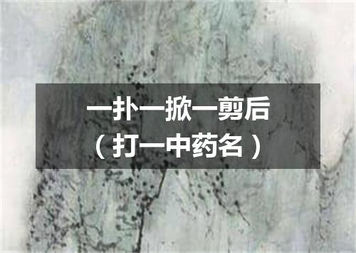 一扑一掀一剪后（打一中药名）