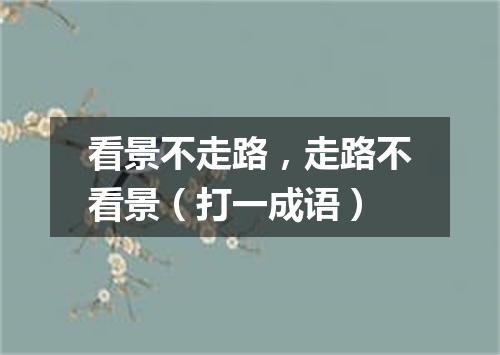 看景不走路，走路不看景（打一成语）