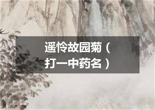 遥怜故园菊（打一中药名）