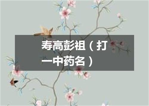 寿高彭祖（打一中药名）