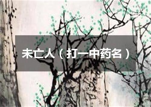 未亡人（打一中药名）