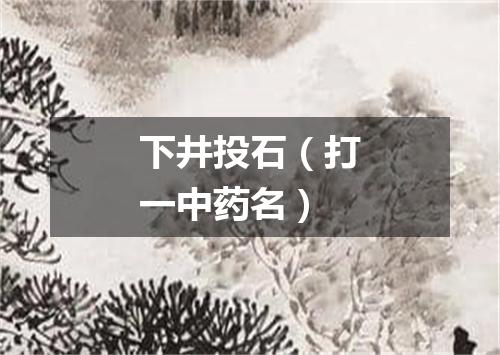 下井投石（打一中药名）