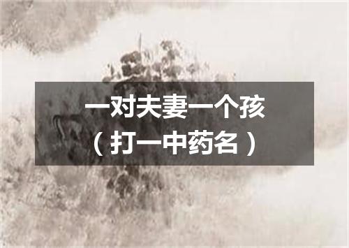 一对夫妻一个孩（打一中药名）