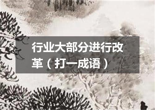 行业大部分进行改革（打一成语）
