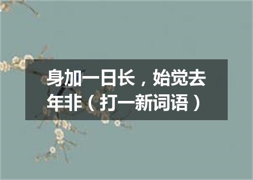 身加一日长，始觉去年非（打一新词语）