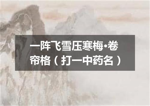 一阵飞雪压寒梅·卷帘格（打一中药名）