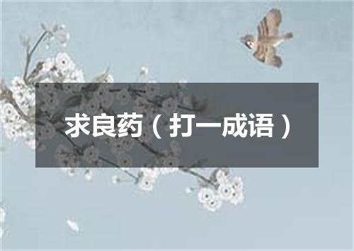 求良药（打一成语）