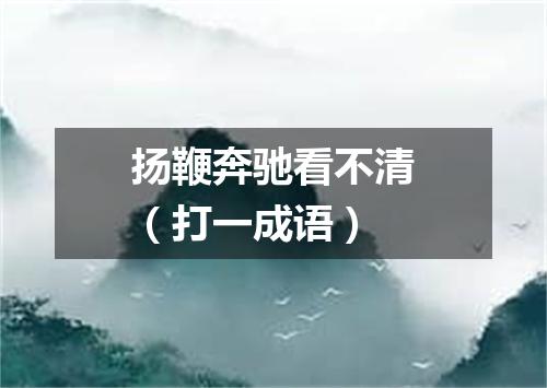扬鞭奔驰看不清（打一成语）