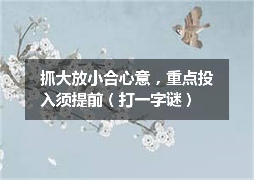 抓大放小合心意，重点投入须提前（打一字谜）