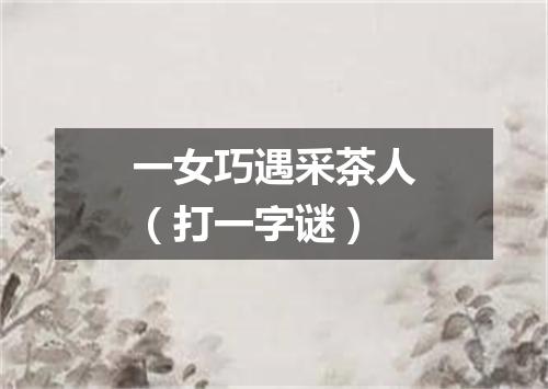 一女巧遇采茶人（打一字谜）