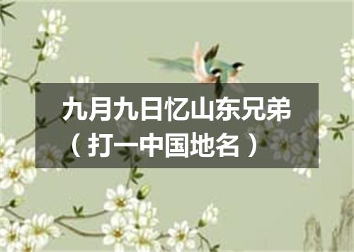 九月九日忆山东兄弟（打一中国地名）