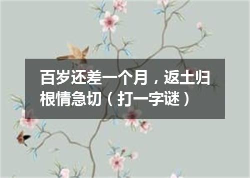 百岁还差一个月，返土归根情急切（打一字谜）
