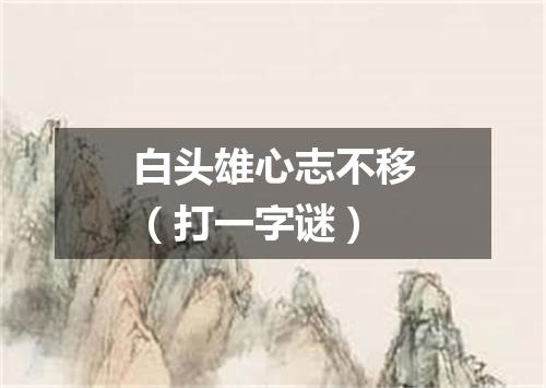 白头雄心志不移（打一字谜）