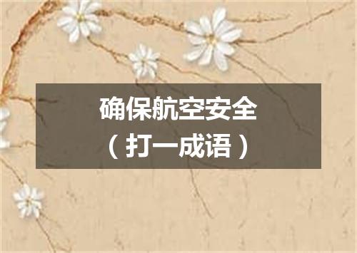 确保航空安全（打一成语）
