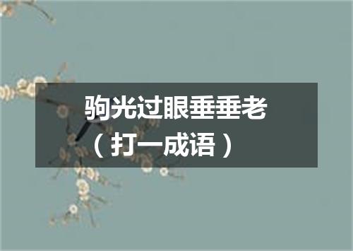 驹光过眼垂垂老（打一成语）
