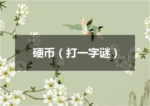 硬币（打一字谜）