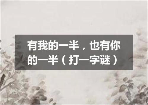 有我的一半，也有你的一半（打一字谜）