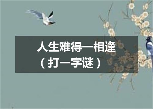 人生难得一相逢（打一字谜）