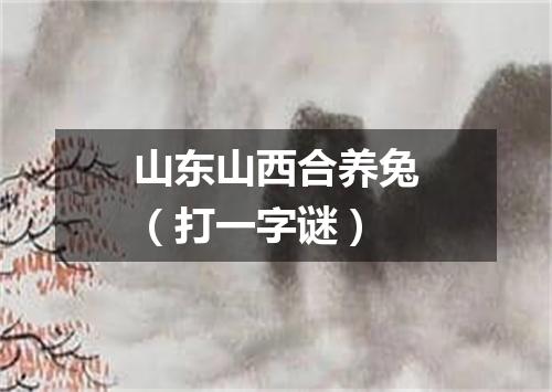 山东山西合养兔（打一字谜）